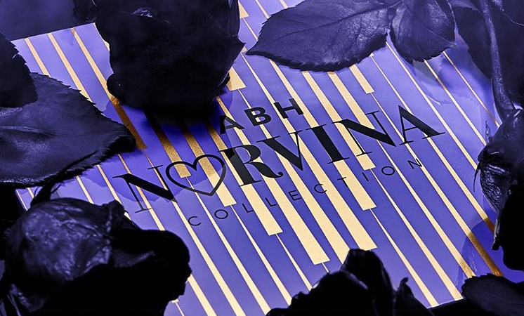 ANASTASIA BEVERLY HILLS NEW NORVINA PALETTE FOR 2019 3 746x450 - ANASTASIA BEVERLY HILLS NEW NORVINA PALETTE FOR 2019