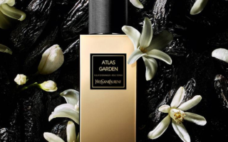 YSL BEAUTY ATLAS GARDEN EAU DE PARFUM 1 320x200 - YSL BEAUTY ATLAS GARDEN EAU DE PARFUM