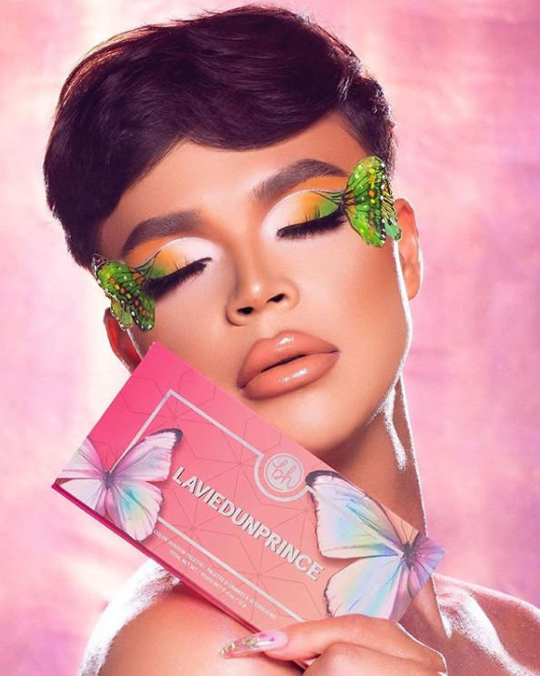 BH COSMETICS LAVIEDUNPRINCE 12 COLOR SHADOW PALETTE AVAILABLE NOW 4 - BH COSMETICS LAVIEDUNPRINCE 12 COLOR SHADOW PALETTE AVAILABLE NOW