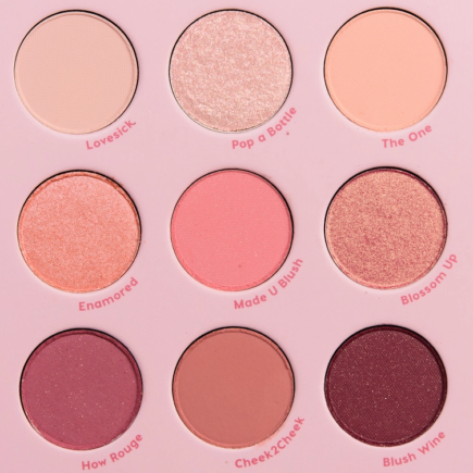 A new collection of makeup Colourpop Nude Mood Blush Crush 