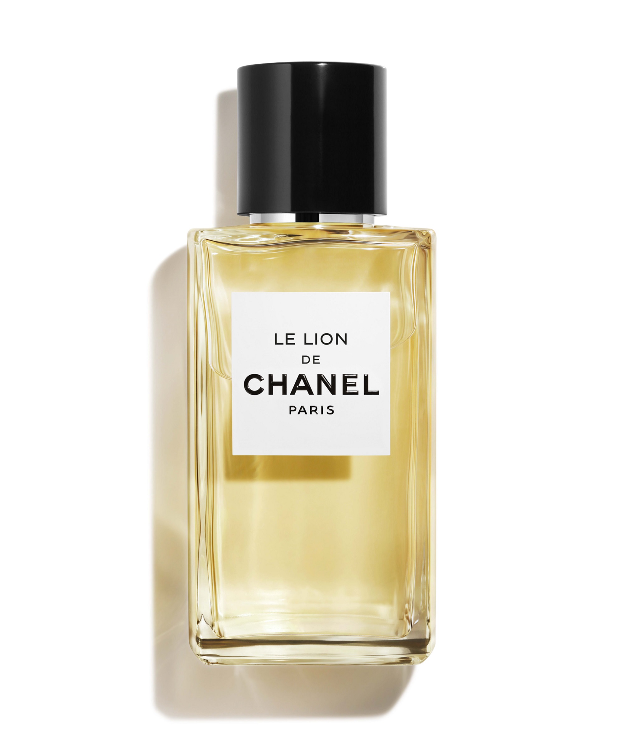 o.92959 - Chanel Le Lion de Chanel