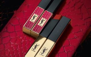 102870572 244959336806796 8213216633362545995 n 320x200 - YSL THE SLIM WILD COLLECTORS 2020