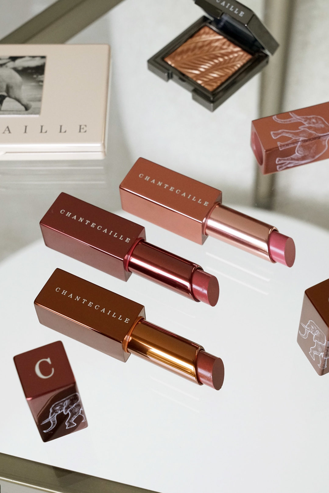 2 11 - Chantecaille Safari Fall 2020 Collection