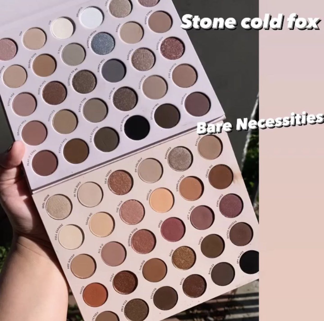 10 - ColourPop Stone Cold Fox Eyeshadow Palette