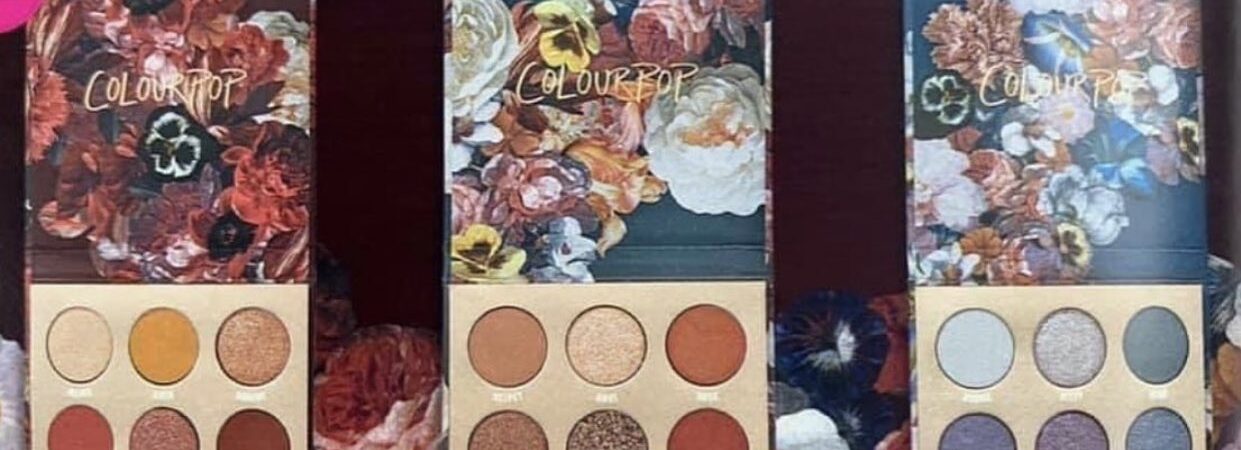 6 4 1241x450 - Colourpop Eyeshadow Palettes for winter season