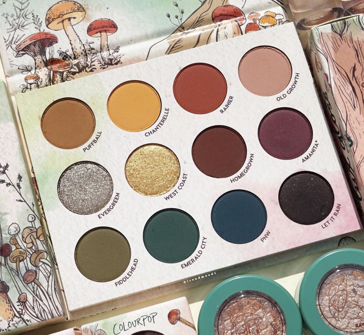 2 7 - The ColourPop X rawbeautykristi Collection