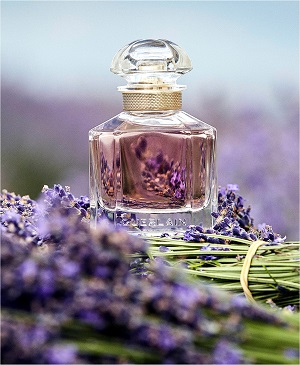 Mon Guerlain Eau de Parfum Spray - Today's Best-Selling Beauty Products at Macy's