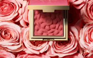 3 2 320x200 - Estee Lauder Rebellious Rose Pure Color Envy Blush