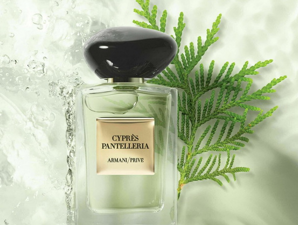 Giorgio Armani Prive Cypres Pantelleria 2021 596x450 - Giorgio Armani Prive Cypres Pantelleria 2021