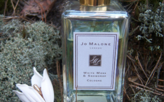 1 10 320x200 - Jo Malone White Moss & Snowdrop