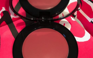 1 19 320x200 - Bobbi Brown Pretty Powerful Pot Rouge 2022