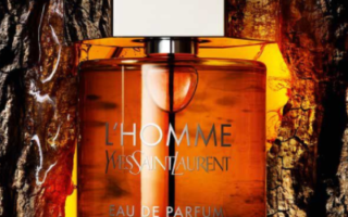 2 5 320x200 - Yves Saint Laurent L'Homme Eau de Parfum