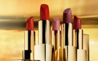 1 22 320x200 - Estée Lauder Pure Color Lipsticks 2023
