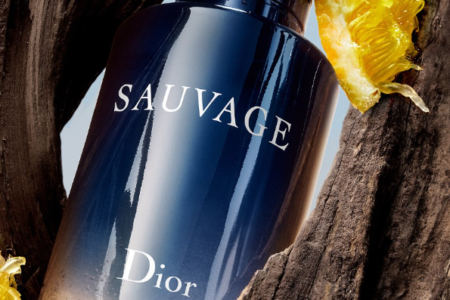 2 4 450x300 - Dior Sauvage Eau de Toilette Gift Set 2023