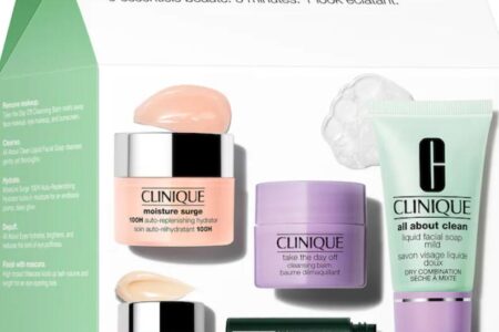 1 22 450x300 - Clinique Refresh in 5 Skincare and Makeup Set 2023