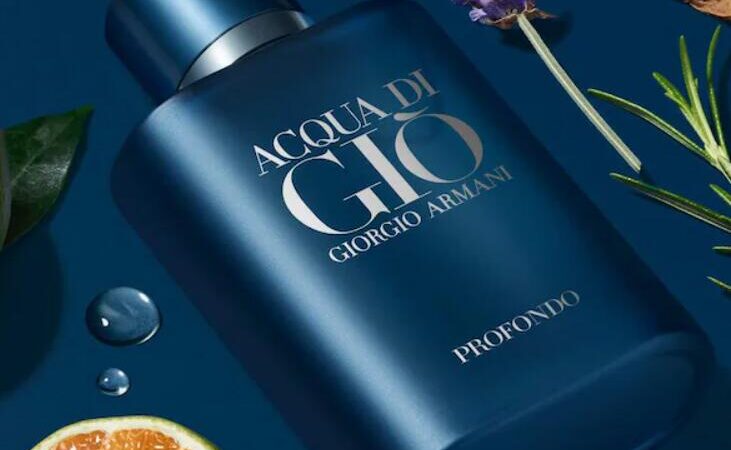 1 4 731x450 - Armani Beauty Acqua di Gio Profundo Cologne Set 2023
