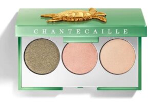 1 37 320x200 - Chantecaille Sea Turtle Eyeshadow Trio - Warm 2024