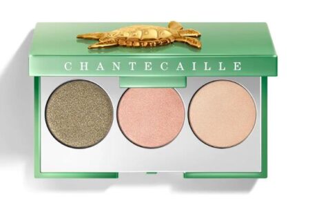 1 37 450x300 - Chantecaille Sea Turtle Eyeshadow Trio - Warm 2024