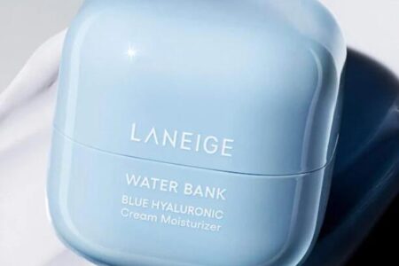 2 5 450x300 - Laneige Mini Water Bank Blue Hyaluronic Cream Moisturizer for Moisture Barrier Repair