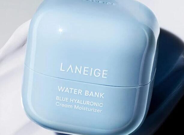 2 5 613x450 - Laneige Mini Water Bank Blue Hyaluronic Cream Moisturizer for Moisture Barrier Repair