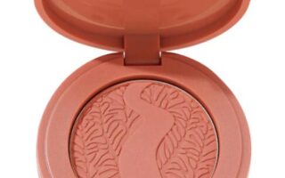 1 3 320x200 - Tarte mini Amazonian clay 12-hour blush 2024
