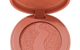 1 3 320x200 - Tarte mini Amazonian clay 12-hour blush 2024